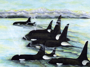 Orcas on the Salish Sea