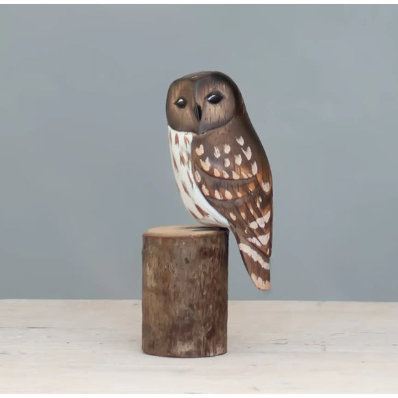 Barred Owl (Mini) -5