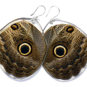 Owl Butterfly Earrings