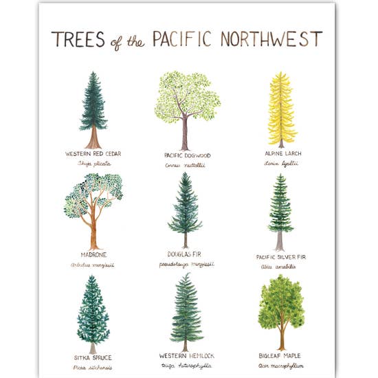 Pacific Northwest Trees Art Print