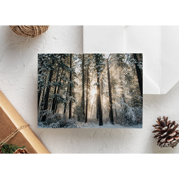 Pacific Northwest Scenic Greeting Card - Winter Forest Rays