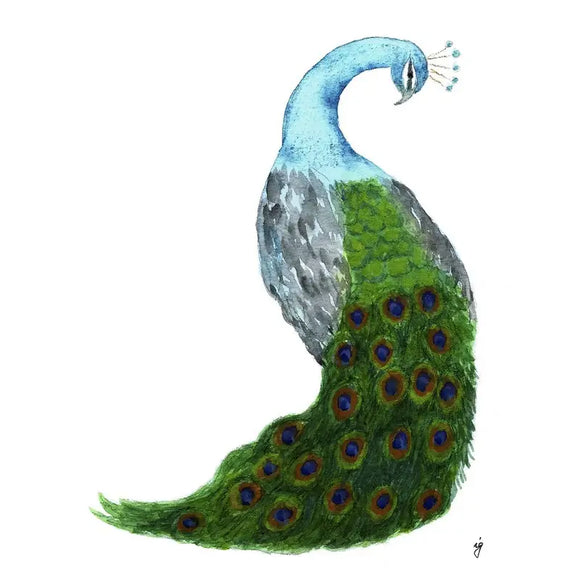 Peacock Greeting Card