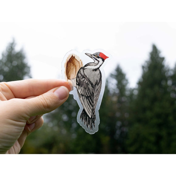 Pileated Woodpecker 3.5