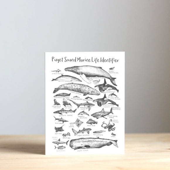 Puget Sound Marine Life Identifier Greeting Card