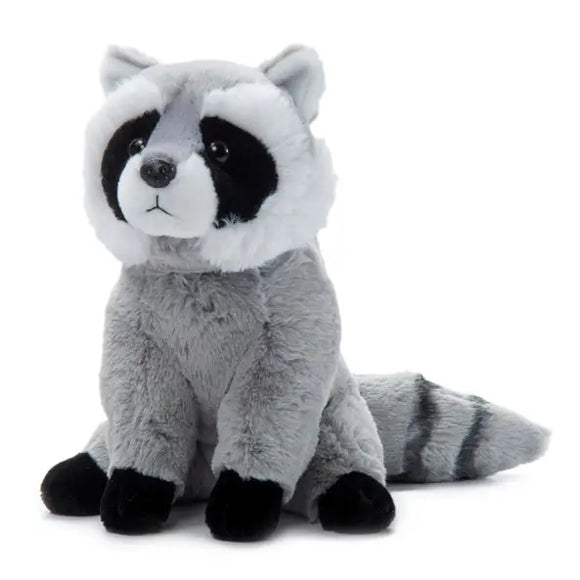 Raccoon 12