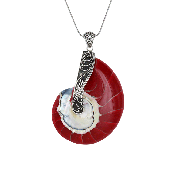 Red Nautilus Shell Pendant  Red