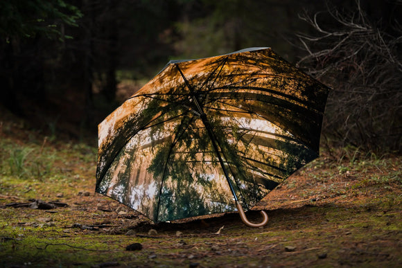 Redwoods Umbrella
