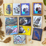 Rockies: Greeting Card Boxed Set