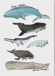 8"x10" Watercolor Whale Art Print
