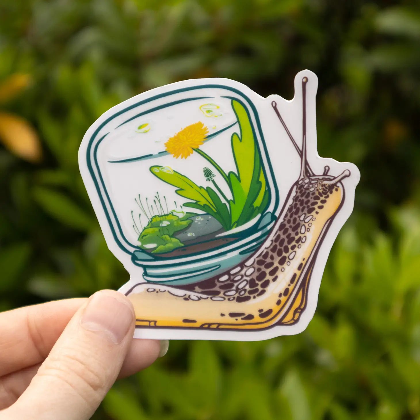 Snail Terrarium Clear Vinyl Sticker