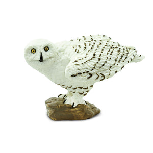 (Pre Order) Snowy Owl