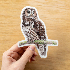Spotted Owl 5"X4" Large Vinyl Sticker