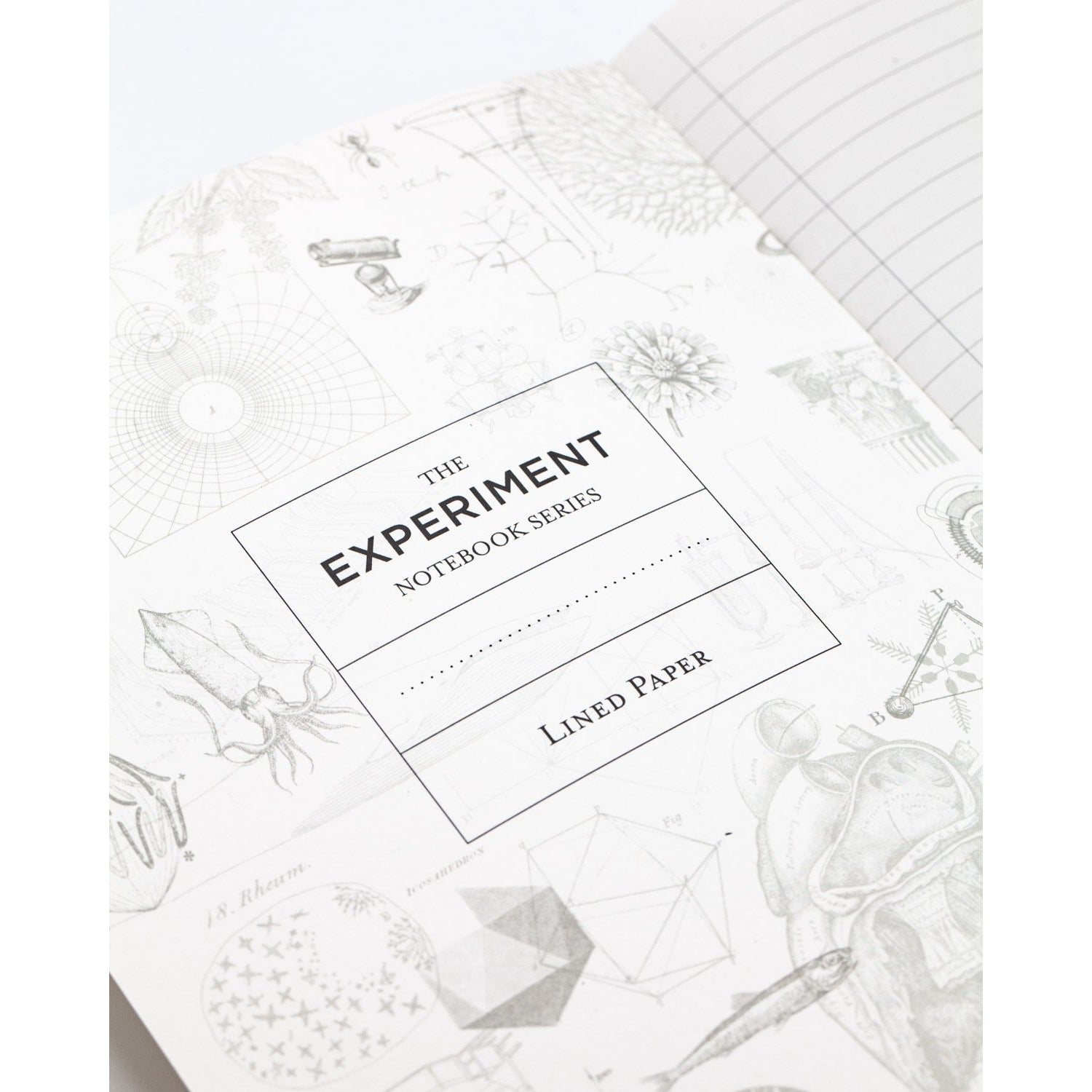 Star Map Softcover Lined
