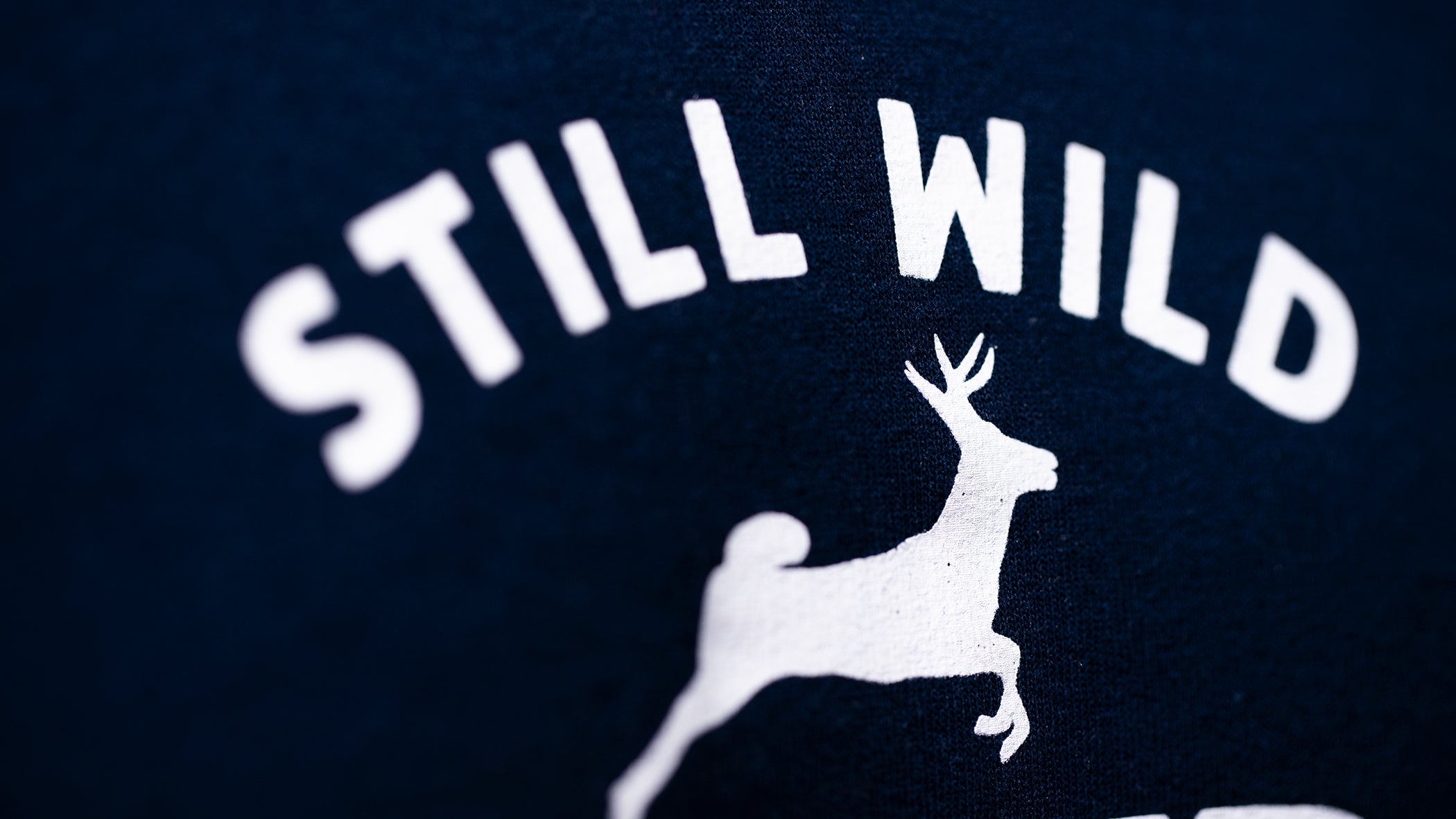 Bainbridge Island "Still Wild" | Sweatshirt