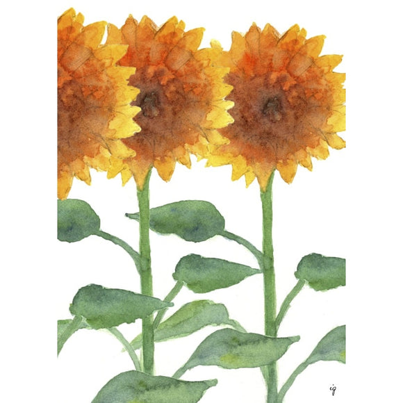 Sunflowers Greeting Card