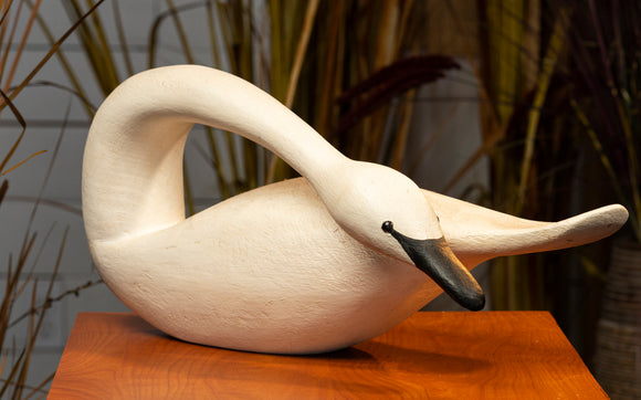 Swan Hand Carved Decoy