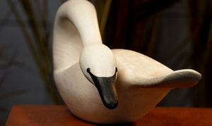 Swan Hand Carved Decoy