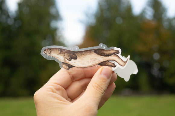 Swimming River Otter 1.25