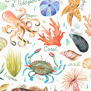 Tidepool Art Print