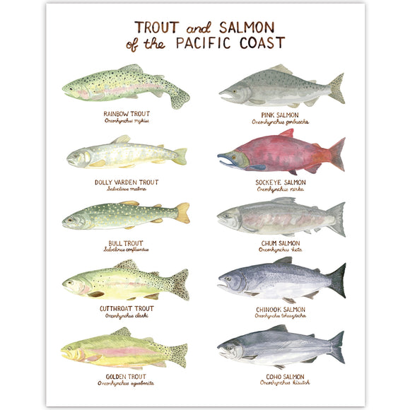 Trout and Salmon of the Pacific Northwest Art Print