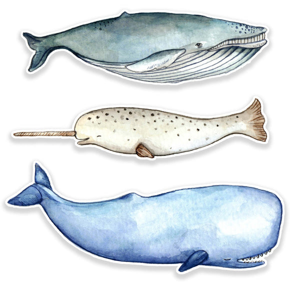 Whale Sticker Pack (Set of 3)