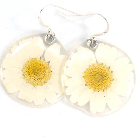 White Daisy Earrings