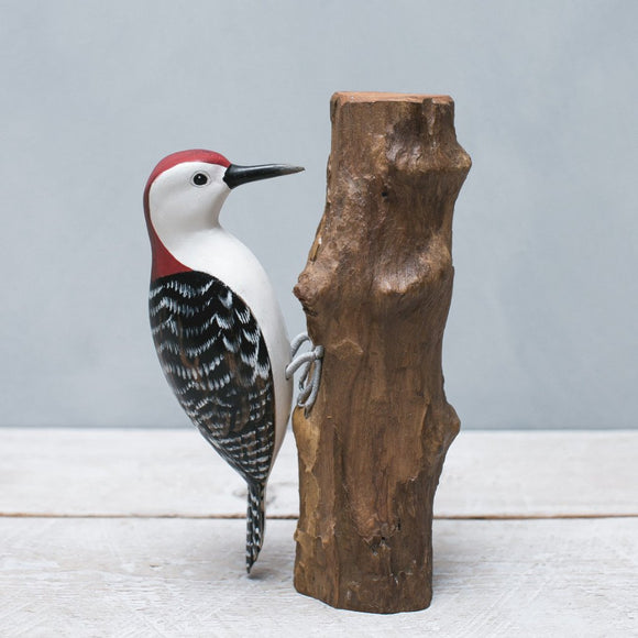 Woodpecker - Red Bellied - 9.5”