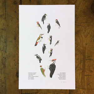 12" x 18" A Few Woodpeckers Letterpress Print