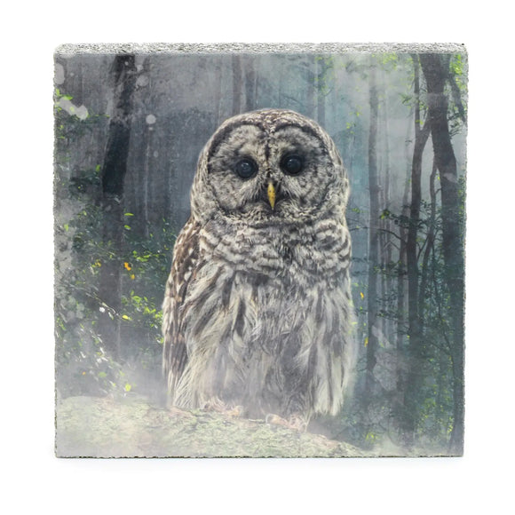 Forest Owl | Art Block