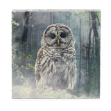 Forest Owl | Art Block