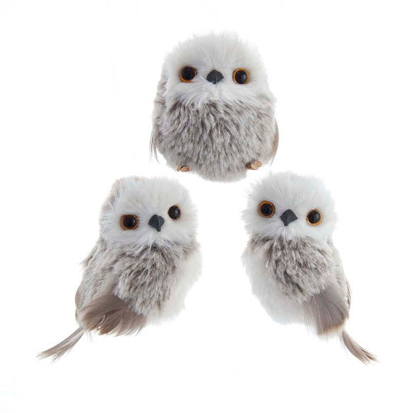 Baby Gray Owls