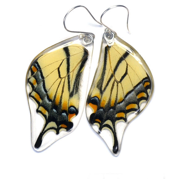 Eastern Tiger Swallowtail Earrings