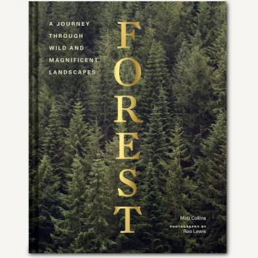 Forest: A Journey through wild and Magnificent Landscapes