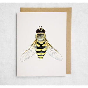 Hoverfly Card