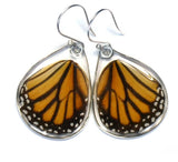 Danaus Genutia Striped Tiger Butterfly Earrings