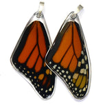 Danaus Plexippus Monarch Butterfly Earrings