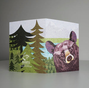 Black Bear Blank Greeting Card