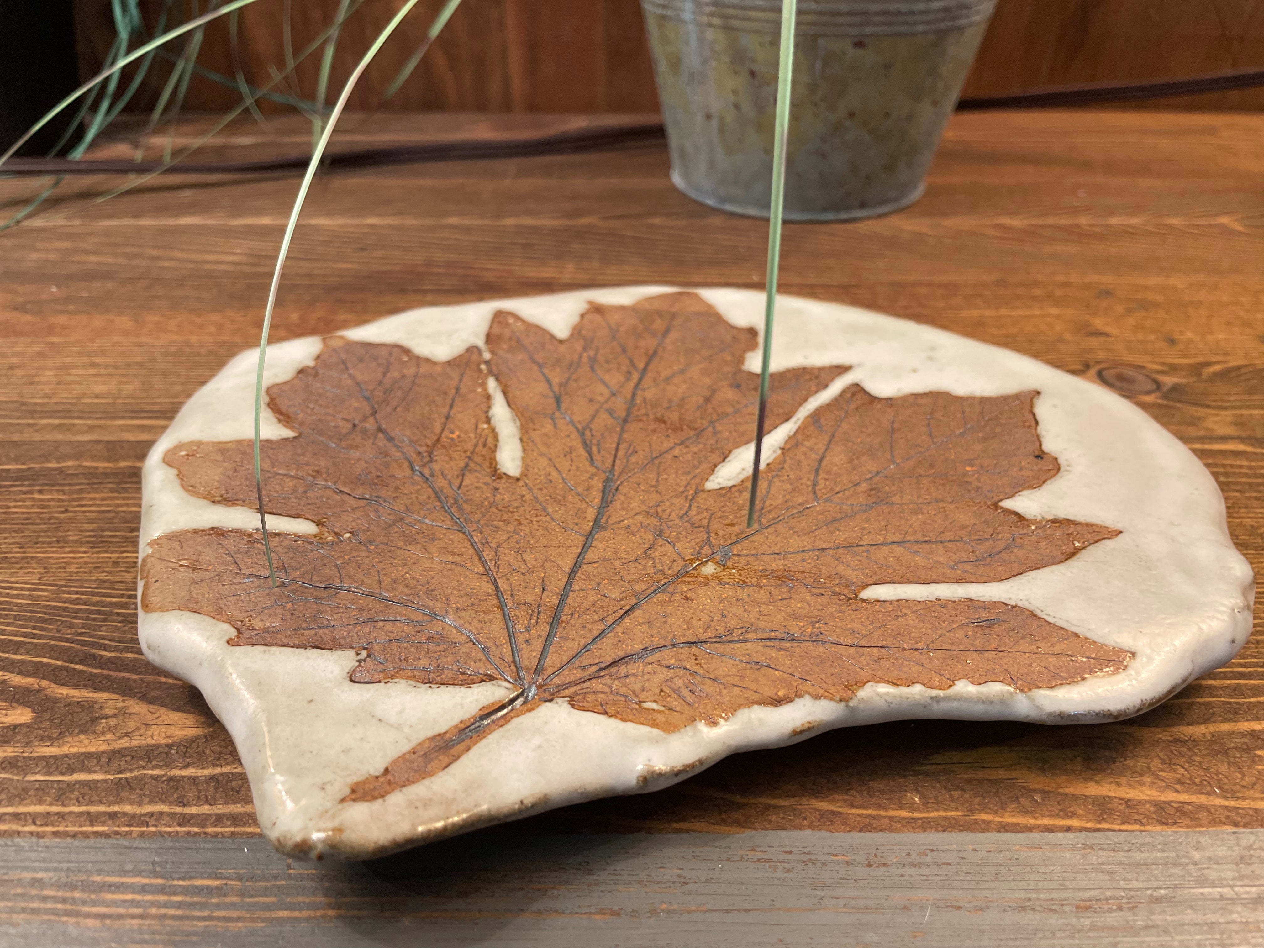 Botanical Dishes