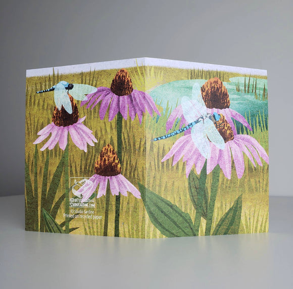 Coneflowers and Dragonflies Blank Greeting Card