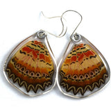 Cethosia Biblis Butterfly Earrings