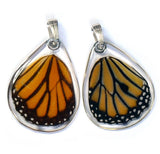 Danaus Genutia Striped Tiger Butterfly Earrings