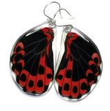 Papilio Rumanzovia Scarlet Mormon Butterfly Earrings