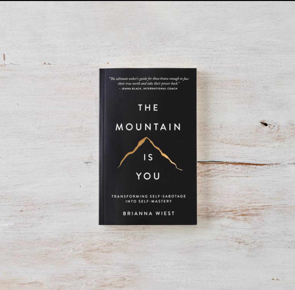 The Mountain Is You by Brianna West