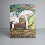 Shaggy Parasol Mushroom Blank Greeting Card