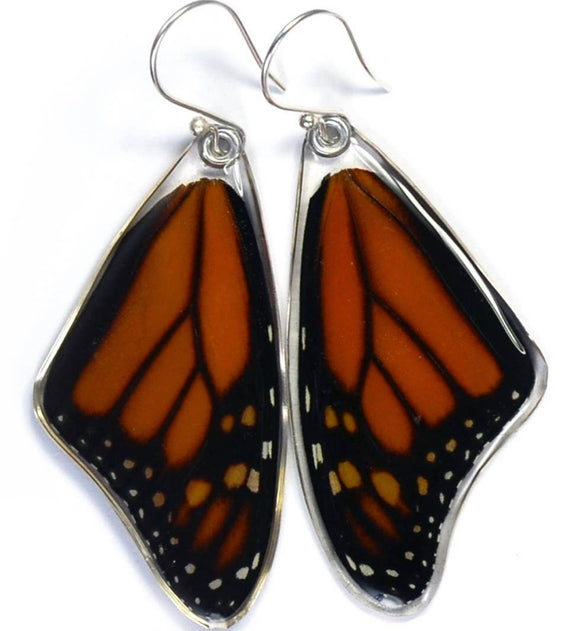 Danaus Plexippus Monarch Butterfly Earrings