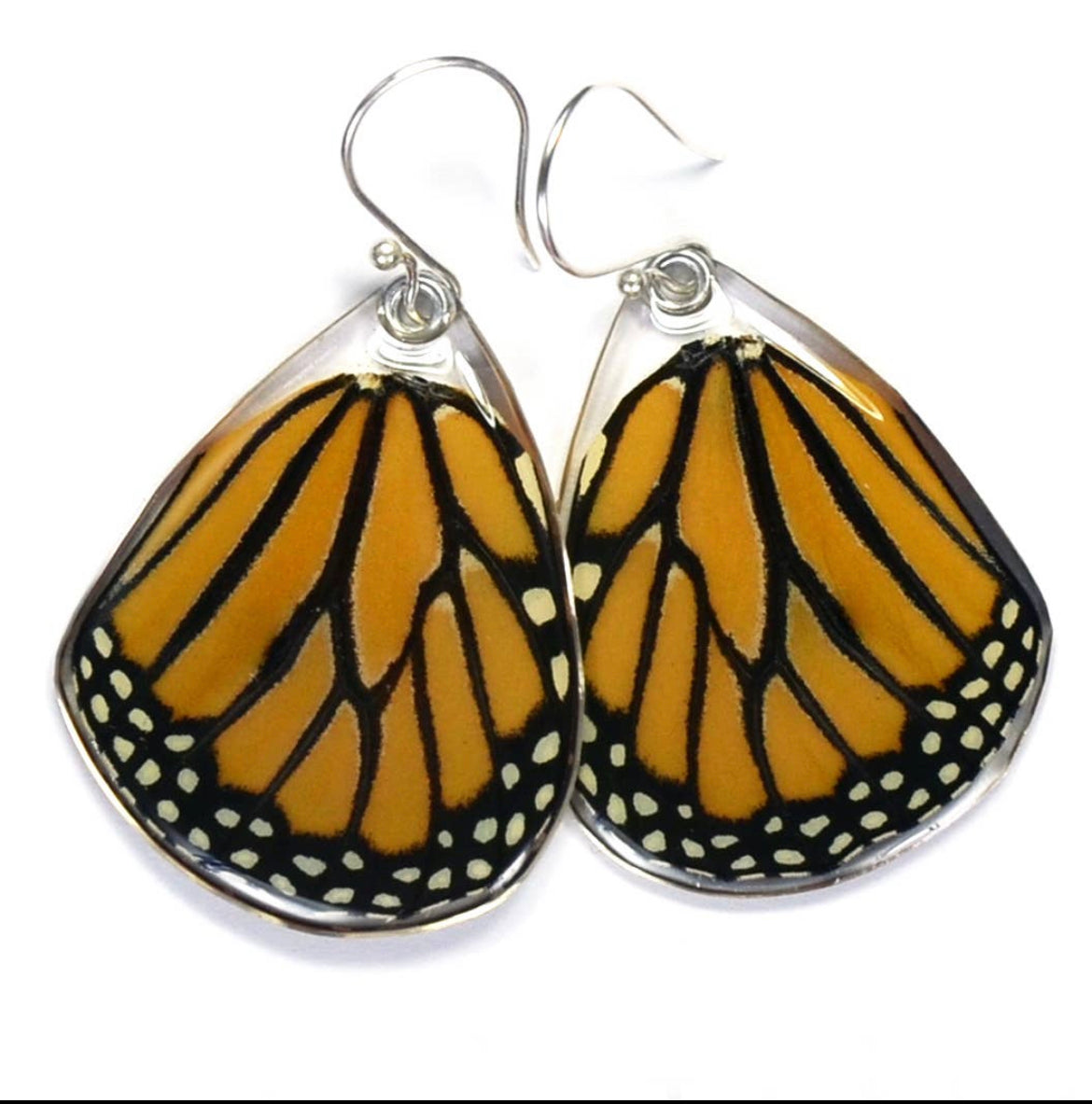 Danaus Plexippus Monarch Butterfly Earrings