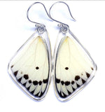 Belenois Calypso Paper White Butterfly Earrings
