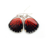 Hamadrys Amphinome Red Cracker Butterfly Earrings