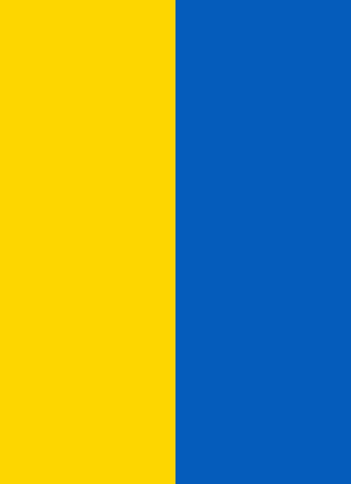 Ukraine Flag Garden Flag (12.5” x 18”)