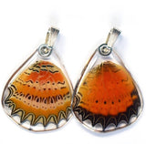 Cethosia Biblis Butterfly Earrings